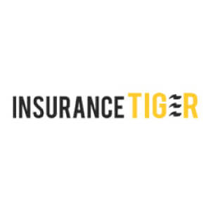 Amazing Insurance Tiger