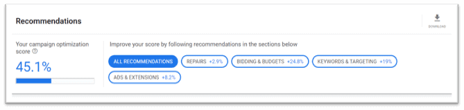 Google Ads Tips - Autogeneated in their console - showing 45% optimization score