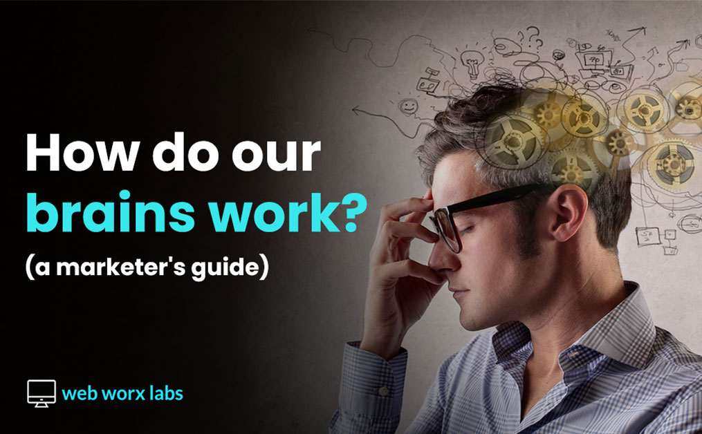 HOW OUR BRAINS WORK
